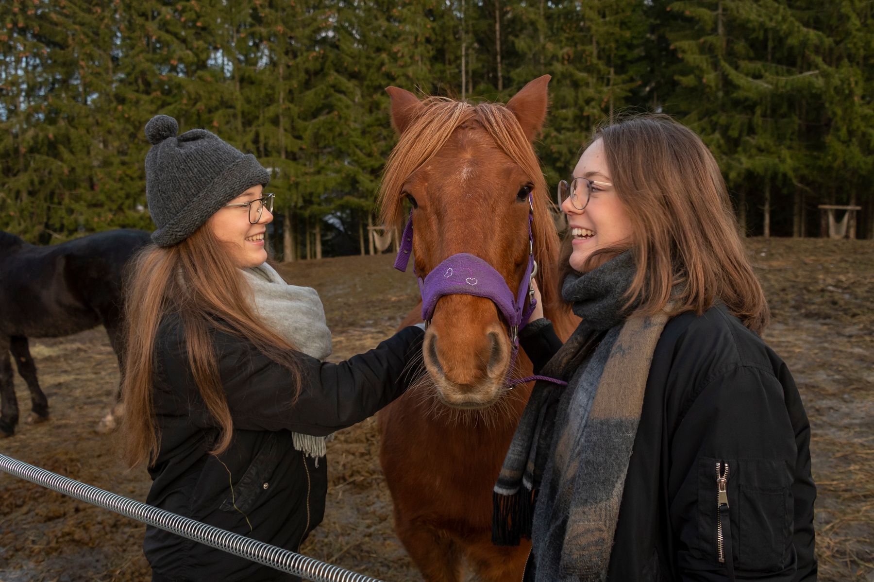 To unge kvinner på hver sin side av en brun hest